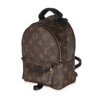 Louis Vuitton Monogram Canvas Mini Palm Springs