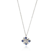 Tiffany & Co. Schlumberger Lynn Sapphire Pendant in Platinum on a Chain